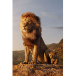 Lovely Lions <3