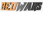 the bedwars pro group