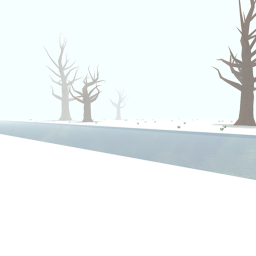 Winter Forest