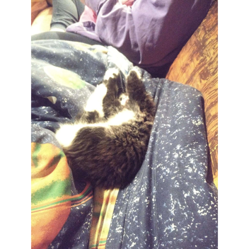 ^ RP Place 2nd Version ^