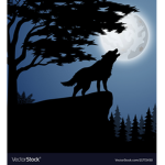 Magic Training: The Wizards of Night