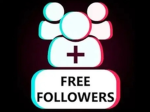 -Free-Followers-