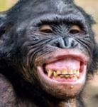 MONKE MILLITARY