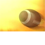 APFL(Awesome Professinonal Football League)