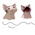 Pop Cat Colt