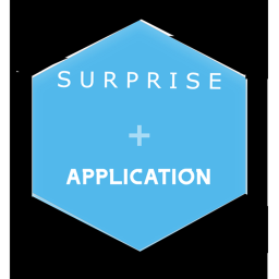 Surprise Application