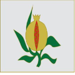 The Kingdom Of Grenada