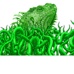 Iguanas And Squids Group