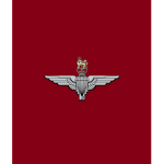 P̷arachute Regiment