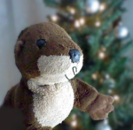 Lil' Otters