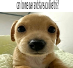 -Mushyz-