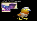 The bird squad forever