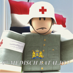 6th Medisch Bataljon