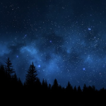 The Forest :3