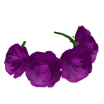 Flower crown for my lovely lovely boosters