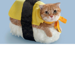 Cats for life!:)