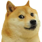 The Good Doggos