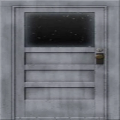 Half Life Door