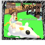 ~The Rblx Amigos~