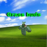 Grass Buds