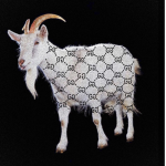 The goats)