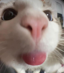 Hiiiiiii17291