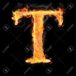 The Talebs