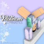 Platinum Star Gymnastics V3!