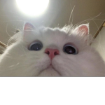 Unicornkeper