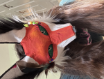 FlippyFox’s Fans!