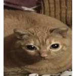 the garfield gang 1