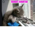 Military kitties