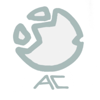 Ammina Labs