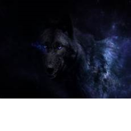 Alpha new Kingdom
