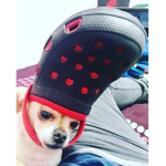 Da cheezy chonclas