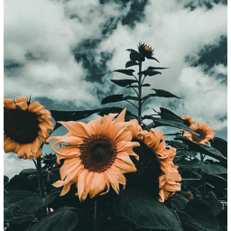 Aesthetic place