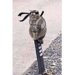 Sk føûńd