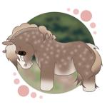 Ambient Rose Equestrian