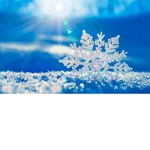 Royal's Winter Wonderland