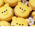 Macaroon Baby's