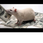 ~Rat~Gang~