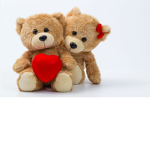 Teddy love gruppe