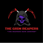 PEACEKEEPER TASK FORCE 27