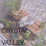 Crystal Valley Community