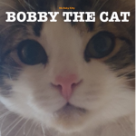 Bobby The Cat Fan Group!