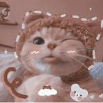 Cat gives roux