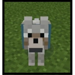 legion lobos azules :b