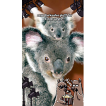 Koalas are my favorite animal who is with me