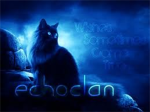 *EchoClan*