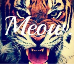 tigers is swag😎